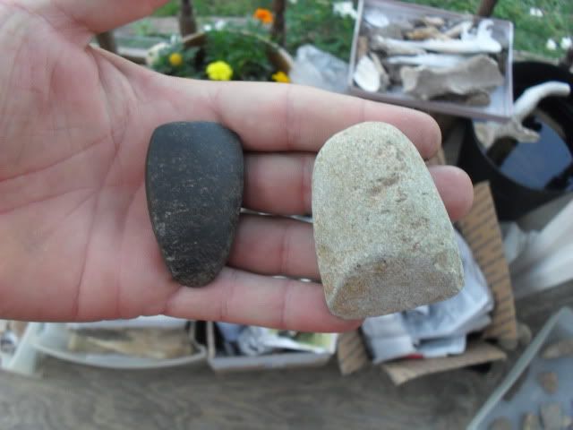 SDC10822.jpg