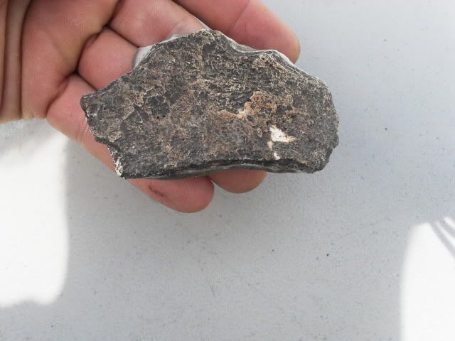 SDC11369.jpg
