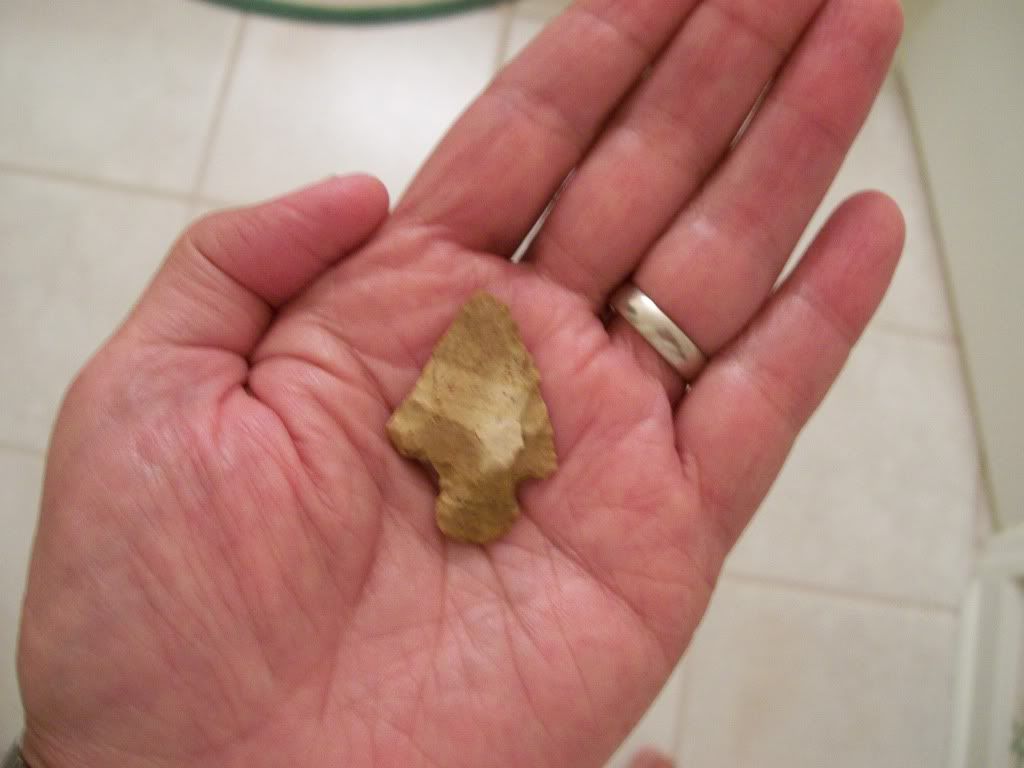 100_4238.jpg