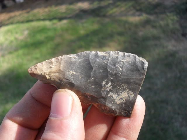 SDC10720.jpg