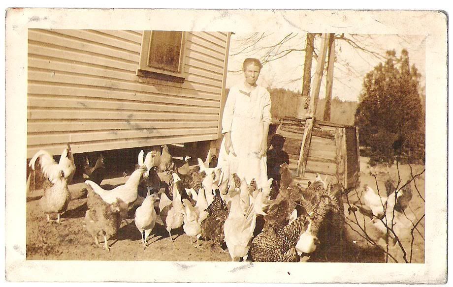 Greatgrandmachickens.jpg