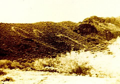 image0-20.jpg