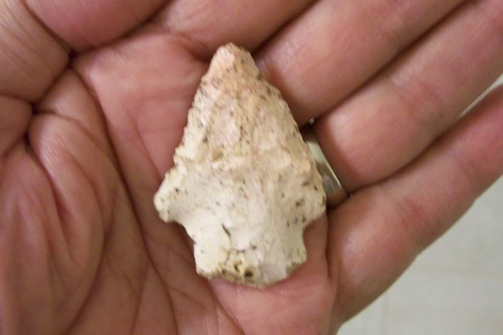 100_2689.jpg