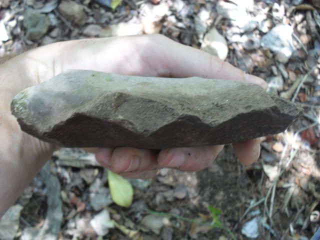 SDC10154.jpg