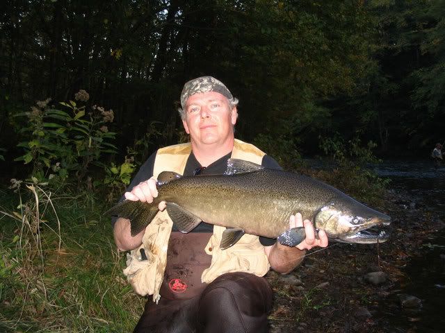 salmonfly.jpg
