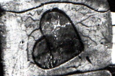 foundstonemapsbumper3.jpg