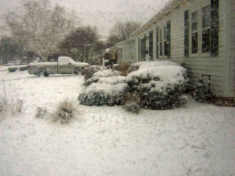 Snow.jpg