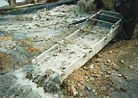Placermine.jpg