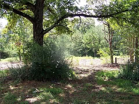 100_1528.jpg