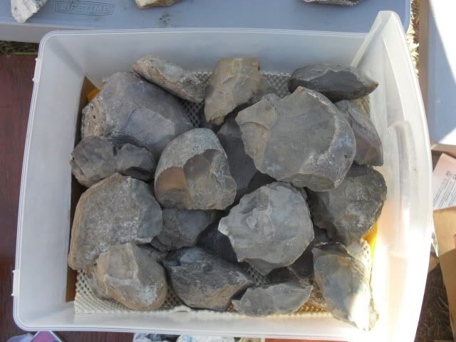 SDC10990.jpg