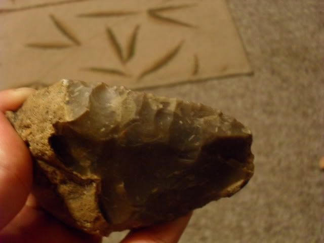 SDC10800.jpg