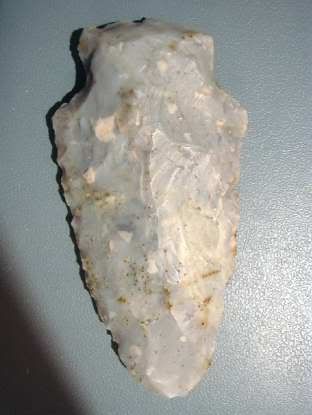 madisoncoadena.jpg