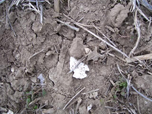 100_1085.jpg