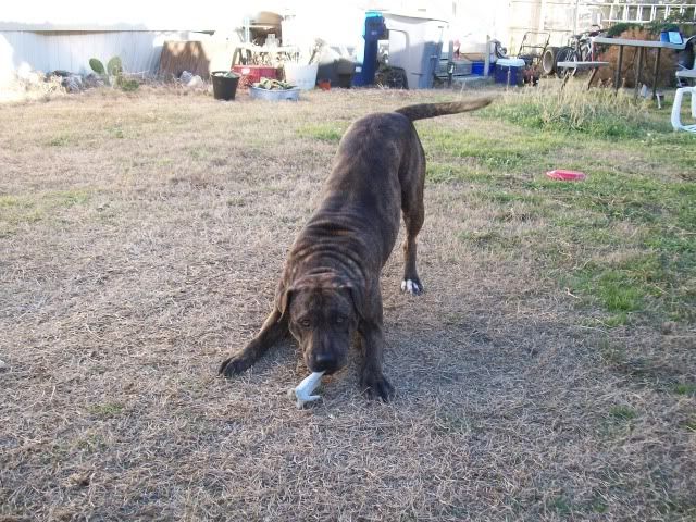 100_0518.jpg