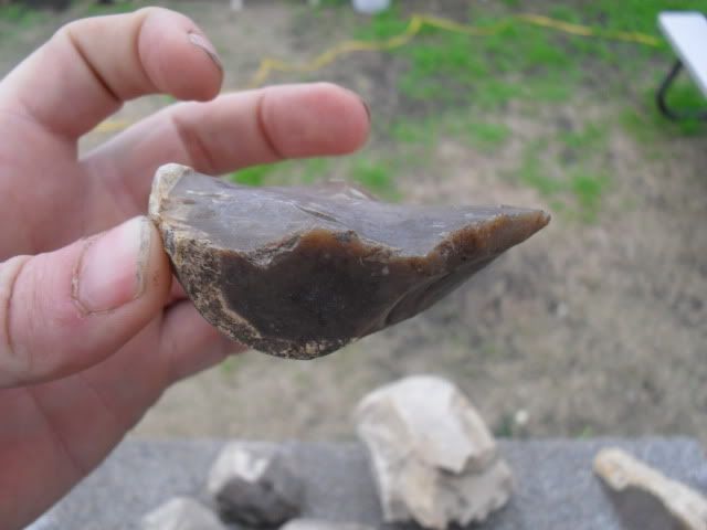 SDC10384.jpg
