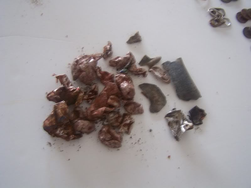 Junk012909.jpg