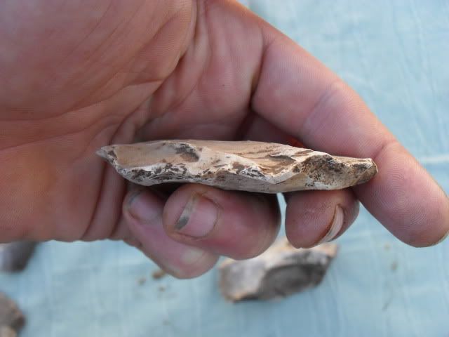 SDC10216.jpg