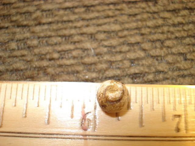 DSC00885.jpg