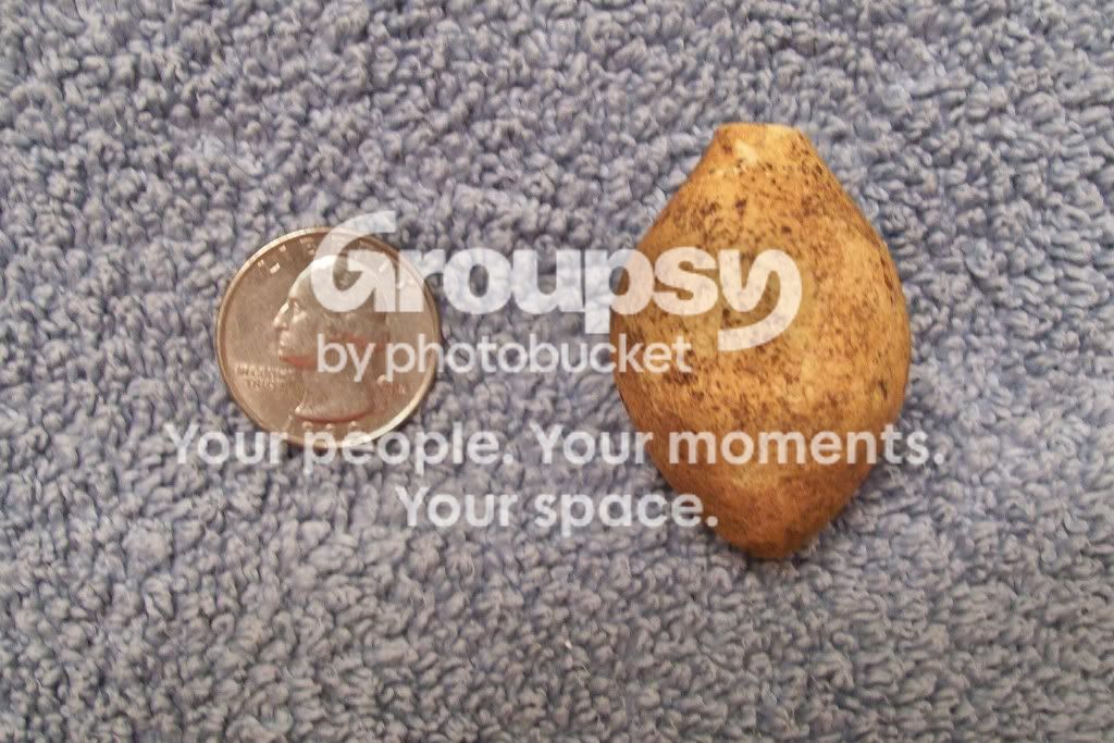 100_5111.jpg