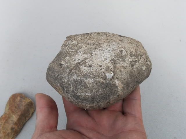 SDC11381.jpg