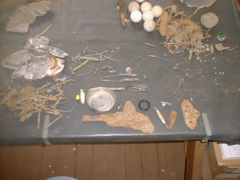 412beachfinds.jpg