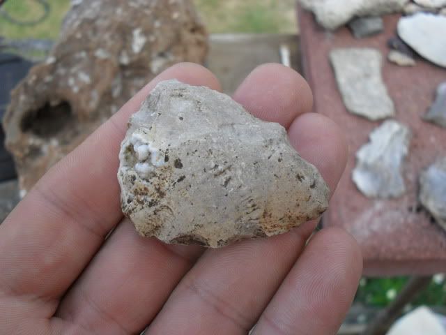 SDC10539.jpg