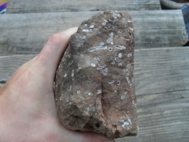 SDC17569.jpg