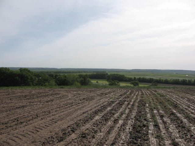 arrowheads5-14-09013.jpg