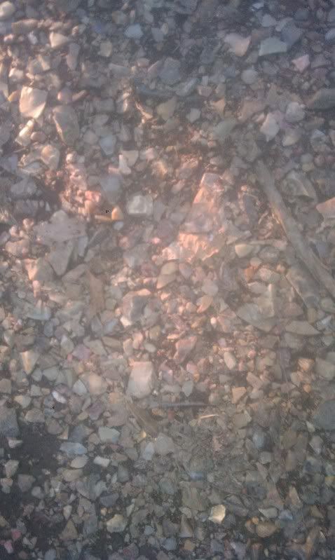 IMAG0063.jpg
