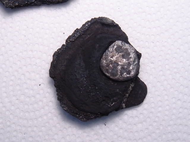DSC00012.jpg