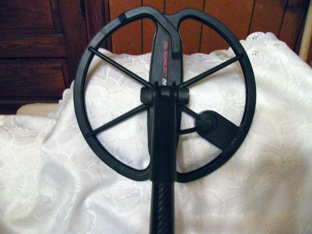 DSCF5593.jpg