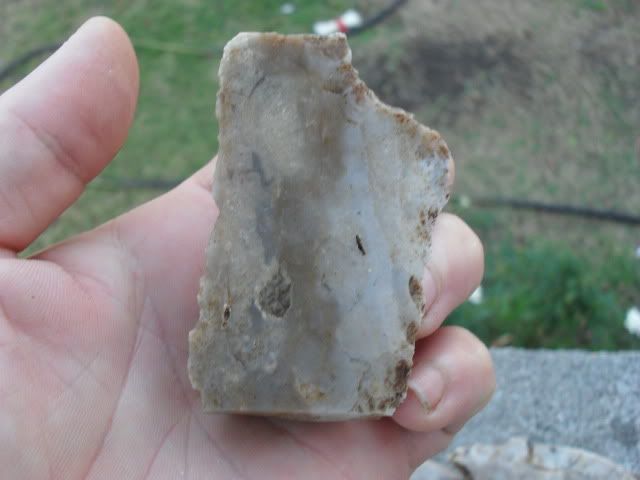 SDC10069.jpg
