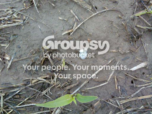 028.jpg