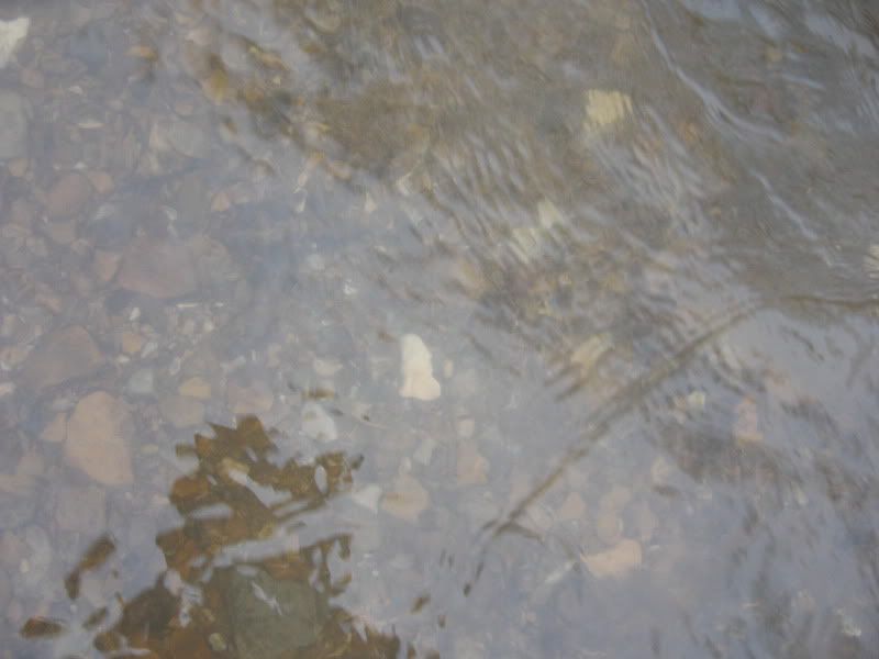 Arrowheads1-29-2010006.jpg