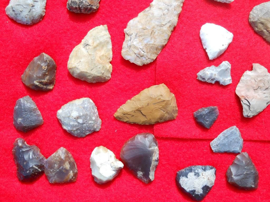 DSCN3205.jpg