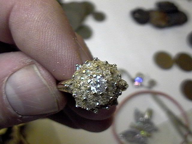 20061007134685784927-10-0620001.jpg