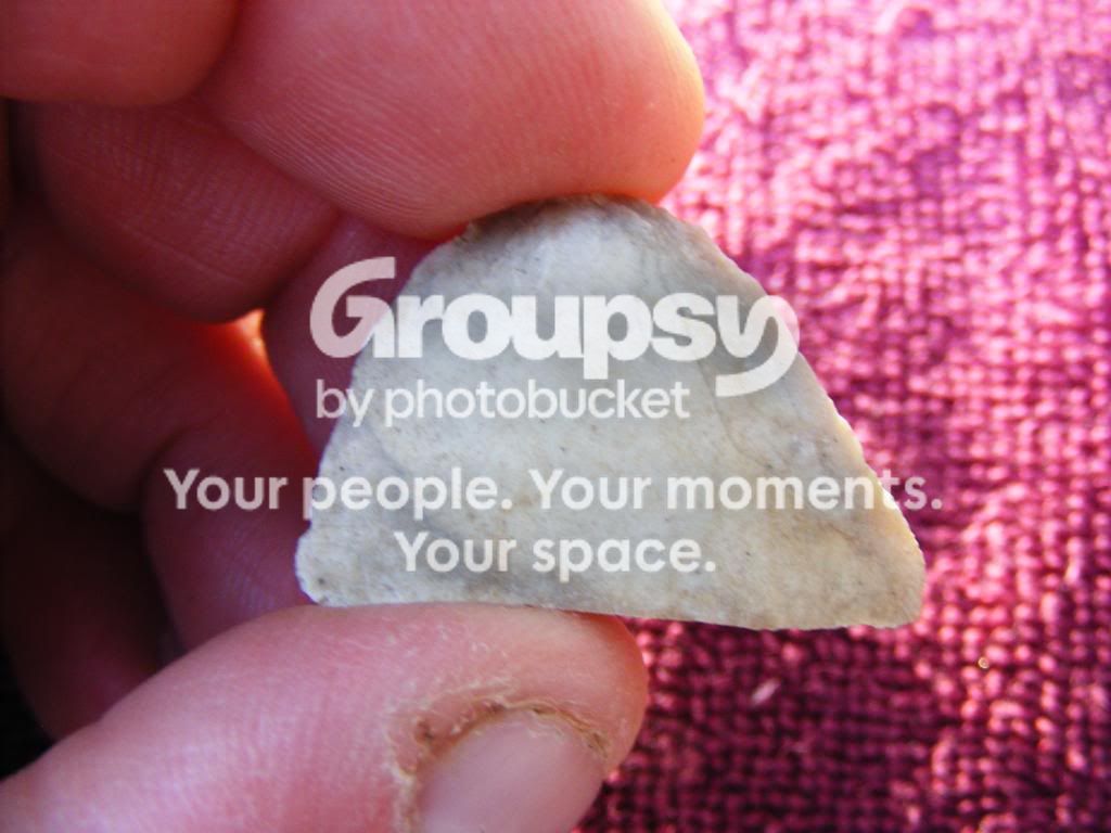2009_0805button0016.jpg