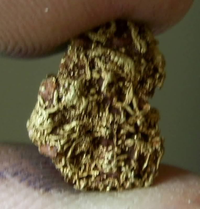 ThamesGold5.jpg