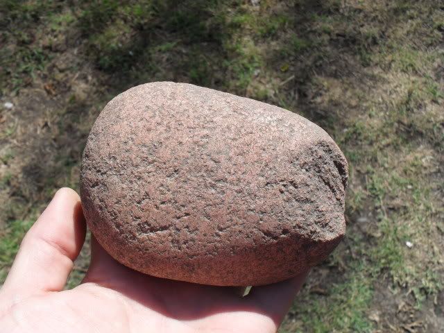 SDC10874.jpg