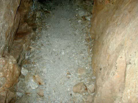 PA010018-1.jpg