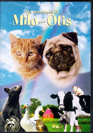 10_d_1192_0_TheAdventuresOfMiloAndOtis.jpg