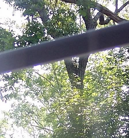 100_1380.jpg