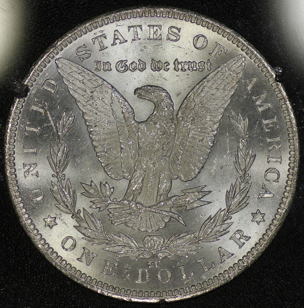 84ccgsavam6rev.jpg