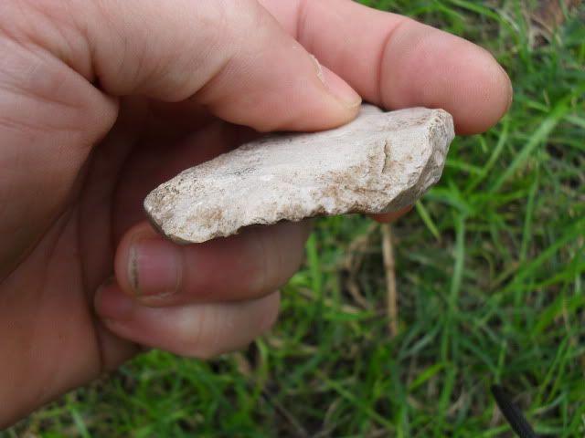 SDC10086.jpg