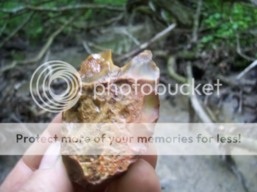creekfinds006-1.jpg