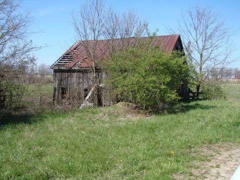 DSC02171.jpg