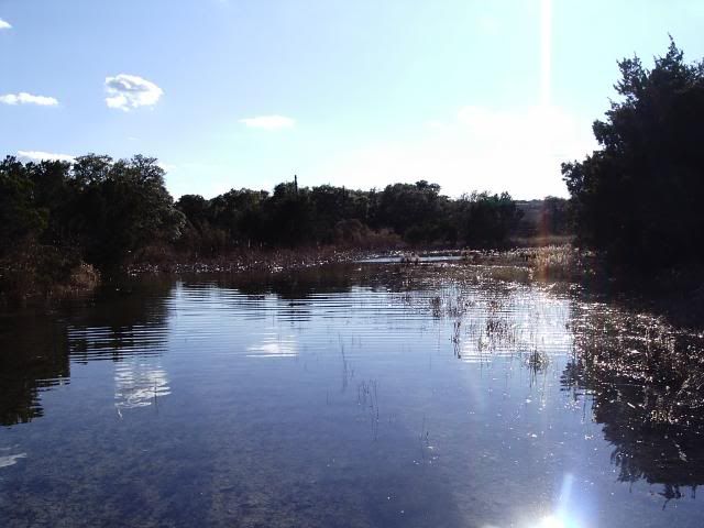 IMAG0029.jpg
