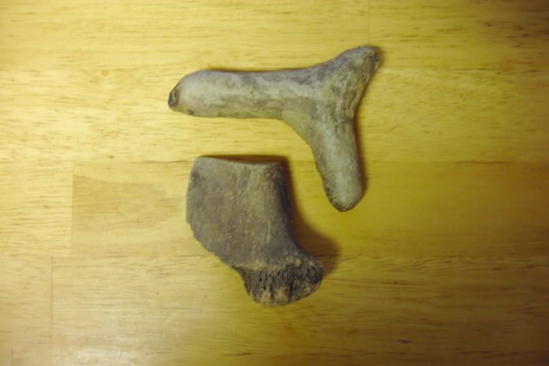 PDR_1352.jpg