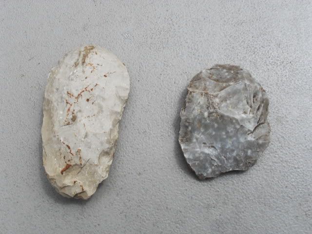 SDC11321.jpg