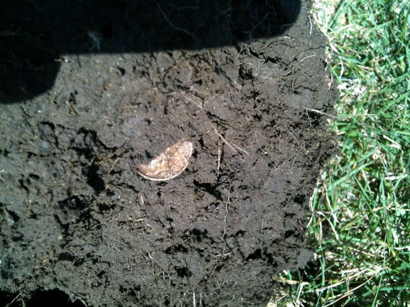 3410_1943MercinPlug.jpg